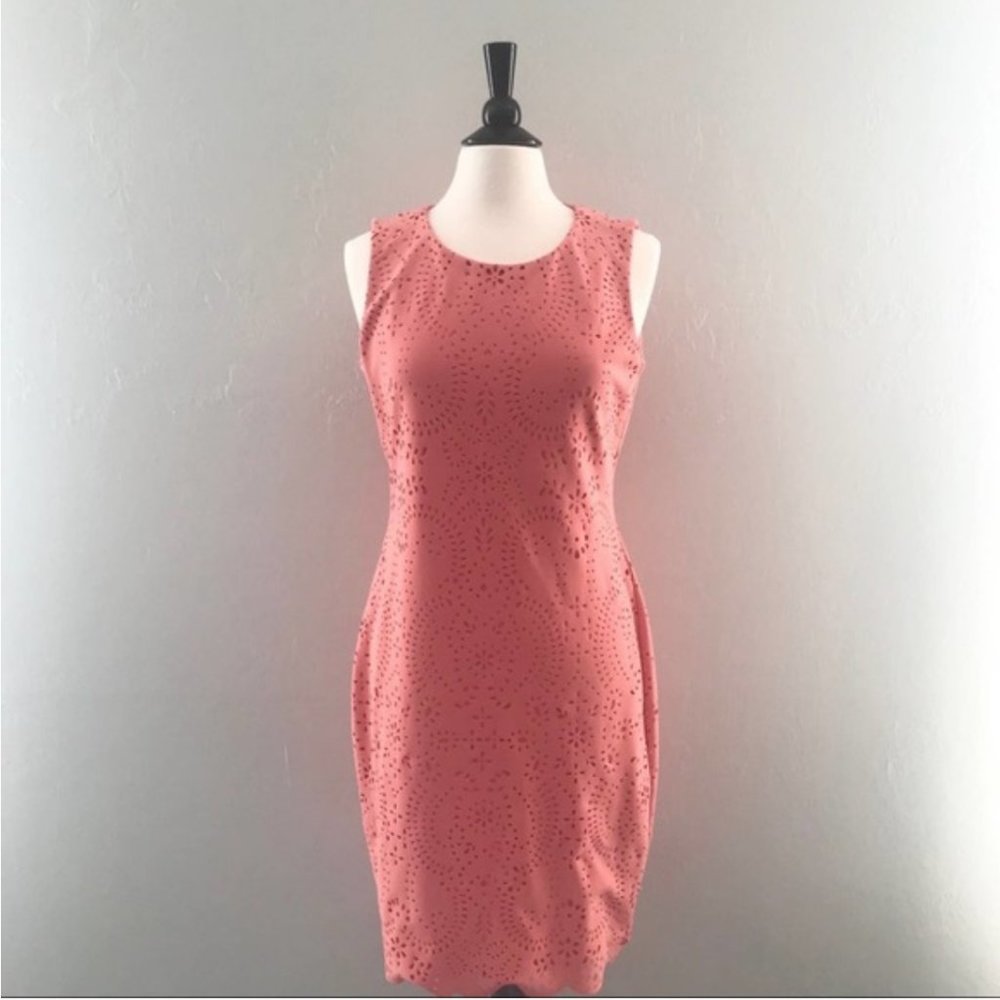 Calvin Klein Dress Sheath Coral Laser Cut Scallop